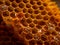 Sweet gold honeycomb and honey macro closeup. Healthy organic dessert for World Bee Day, Honey Bee Day. Generative AI