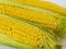 .Sweet golden corn. Image of a yellow grain of sweet corn on the cob. Dense rows of corn seeds.