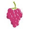 Sweet grape icon, cartoon style