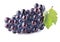 Sweet grape with leaf