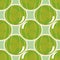 Sweet green gooseberry pattern. Vector, esp10.