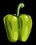 Sweet green pepper vegetable illustration