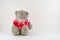 sweet grey teddy bear on white background. the teddy bear wears a T-shirt with drawn hearts and has a red rose