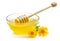 Sweet honey in glass bowl isolated with wooden dipper