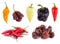 Sweet and hot pepper variety collection