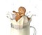 Sweet human character shaped bisquit, splashing into a glass mug.