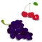 Sweet juicy berries with bunch of violet grape