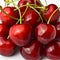 Sweet juicy natural and organic fresh cherry sour cherry, isolated on white background