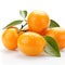Sweet kumquat fruits on white background