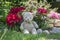 Sweet light brown teddy bear gardening, happy plushy animal in the garden, greenery, sunlight a flowering plants