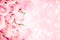 sweet light pink on pink abstract lighting background w
