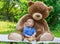 Sweet little baby boy having fun outdoors playing with his giant teddy bear in the park