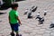 Sweet little boy playing with Pigeon near Batu Caves temple in Malaysia, Baby boy playing with pigeons