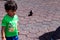 Sweet little boy playing with Pigeon near Batu Caves temple in Malaysia, Baby boy playing with pigeons