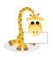 A sweet little giraffe with a placard