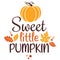 Sweet little pumpkin vector illustration with cute pumpkin.