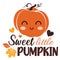 Sweet little pumpkin vector illustration with cute pumpkin.