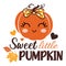 Sweet little pumpkin vector illustration with cute pumpkin.