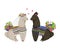 Sweet llamas couple in love. Cute cartoon characters. Happy Valentine`s day. Design concept for wedding invitation, greeting card,