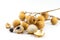 Sweet longan fruit and peel shows the white meat with black seed isolated on white background, selective focus