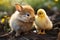 A sweet moment bunny and chick exchange a loving, beak to nose kiss