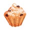 Sweet Muffin with Raisin Vector Food Element