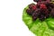 Sweet mulberries on Green leaf