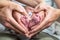 sweet newborn family forming Baby feet heart baby& x27;s feet in mom and dad parent hands selective color