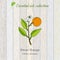 Sweet orange, essential oil label, aromatic plant