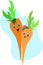Sweet Pair of Carrots