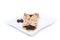 Sweet pancake with berries currant and dogwood on a square plate