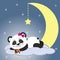 The sweet panda is sleeping on a cloud and a big moon, holding a bear, against the background of the night sky.