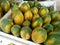 sweet Papaya of sri lankan natural photo