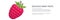 Sweet pink berry raspberries banner