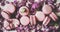Sweet pink macaron cookies and rose buds and petals, close-up