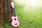 Sweet pink ukulele music green grass background