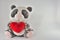 sweet plush panda  on white background  holding a red heart between your paws