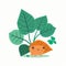 Sweet Potato Leaves Vegetable Cute Playful Flat Icon by Generative AI