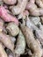 Sweet potatoes piled for market