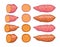 Sweet potatoes set. vector