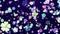 Sweet Purple Colorful Falling Flowers Shapes With Five Heart Petals With And Without Blurry Focus Effect Separated Background Loop