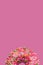 Sweet raspberry doughnuts or donuts with icing and with colorful sugar sprinkles on pastel pink background