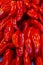 Sweet red peppers long pods shiny many vegetables vertical perspective background gastronomic base of salsa and sauce