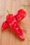 Sweet Red Ramiro pepper