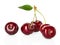 Sweet ripe cherry, berries isolated on white