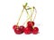 Sweet ripe cherry. sweet cherries on a white background.Healthy