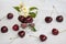 Sweet ripe cherry in truck miniature bike, light background with beryy, flowers, leaves. Concept of healthy food, detox