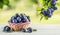 Sweet ripe plums in basket on garden table