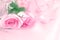 sweet rose flowers for love romance background