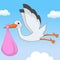 Sweet It\'s a Girl Stork Flying in the Sky